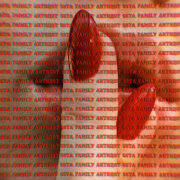 5sta Family - Антидот