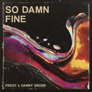 Frost, Danny Snork - So Damn Fine