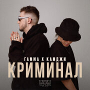ГАММА, КАМДЖИ - Криминал