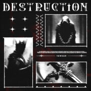 SKWLKR - DESTRUCTION