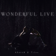 TITOV, ARaveN - Wonderful Live