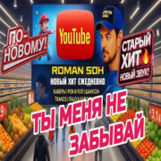 ROMAN SON - Ты Меня Не Забывай (Кавер)