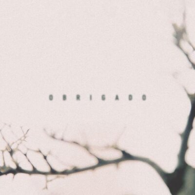 Miyagi, Эндшпиль - Obrigado