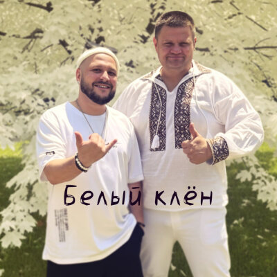 Серёжа Сам, Евгений Аврамов - Белый клён