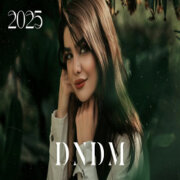 DNDM, Mr Salama - Love You, I Love You (New Original Mix)