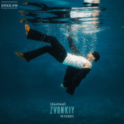 Zvonkiy - Обычный человек