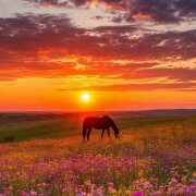 Марина Петровская - Жизнь Казачья