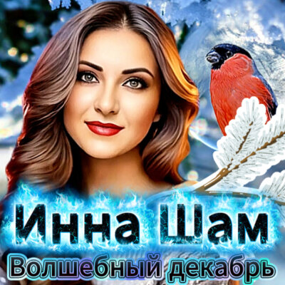 Инна Шам - Волшебный декабрь