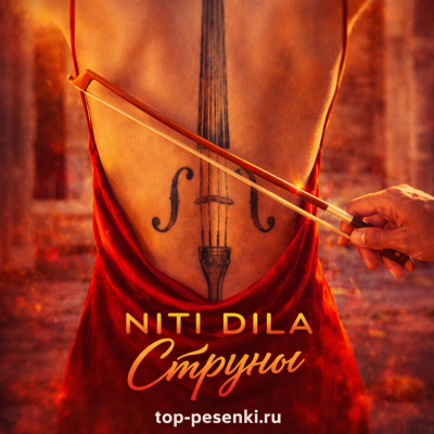 NITI DILA - Струны
